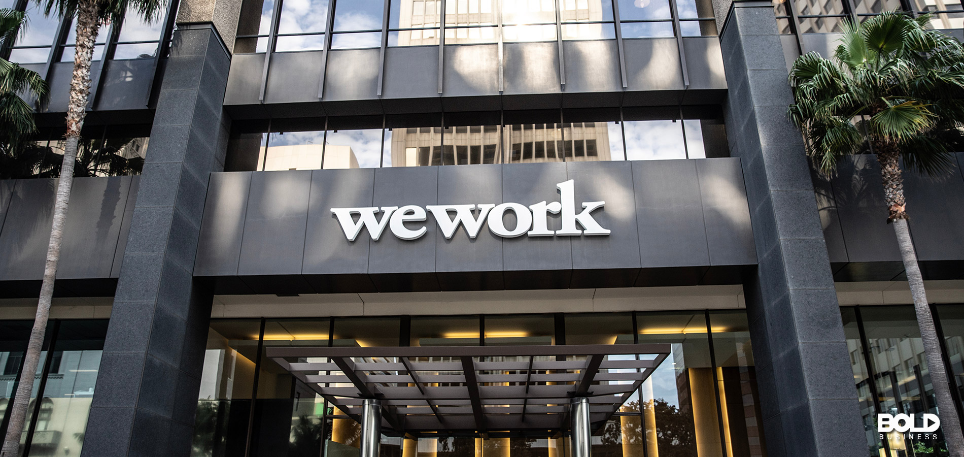 the collapse of WeWork and its awning